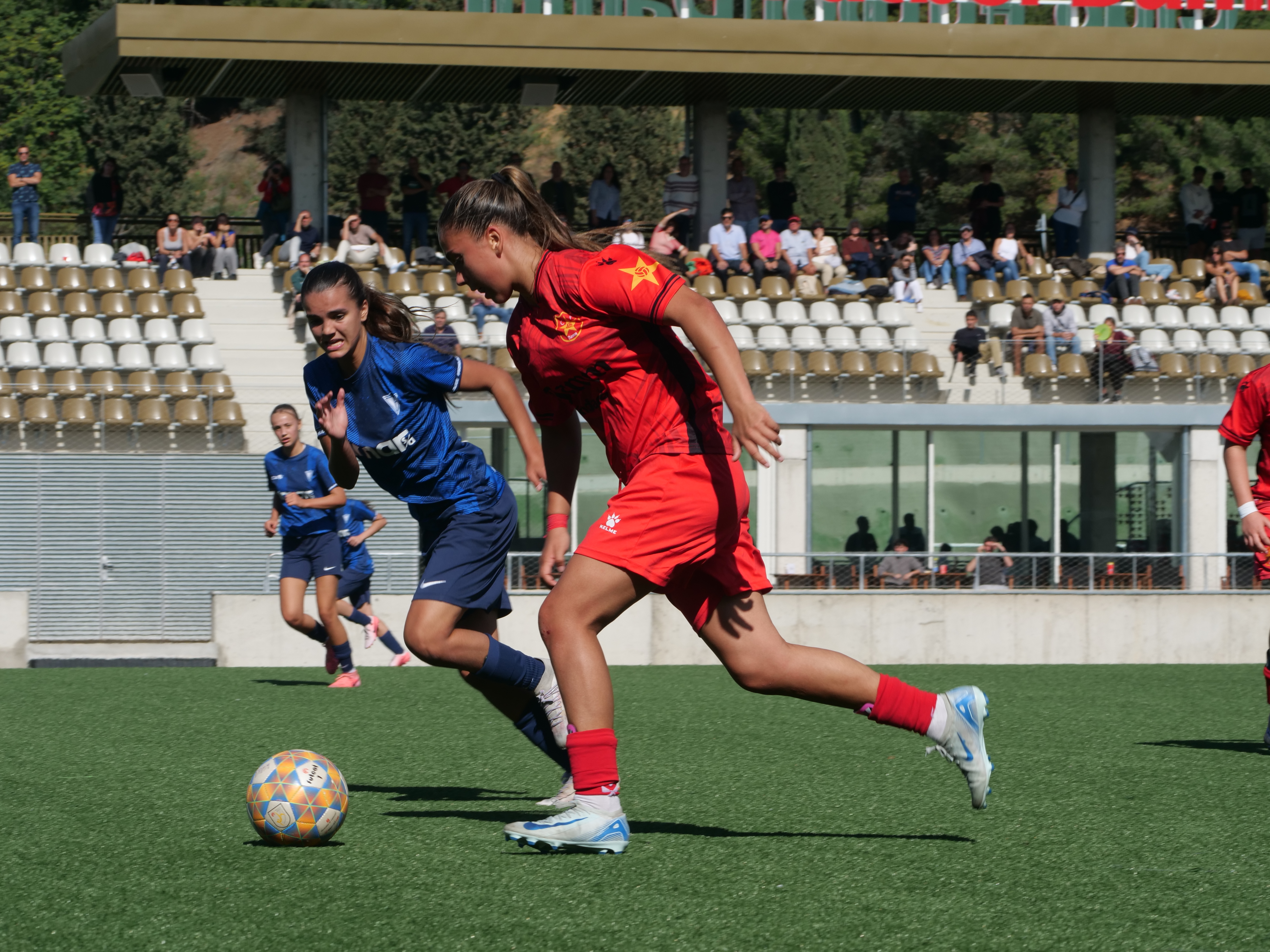 Cura amb la pilota